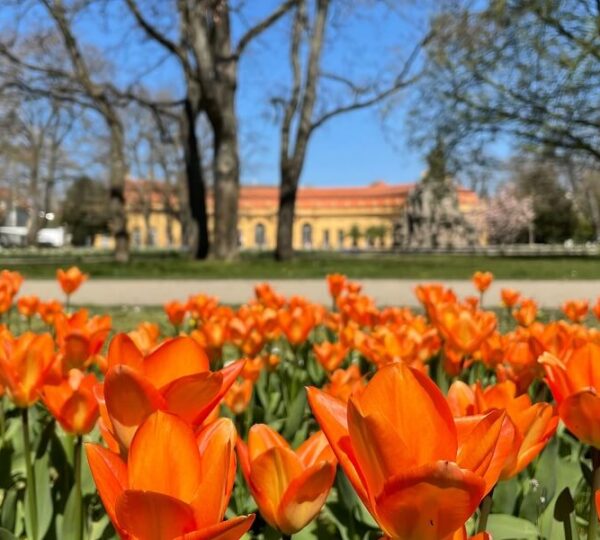 Erlangen-Nürnberg Üniversitesi 5 Erlangen-Nürnberg Üniversitesi
