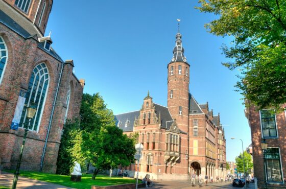 Groningen Üniversitesi