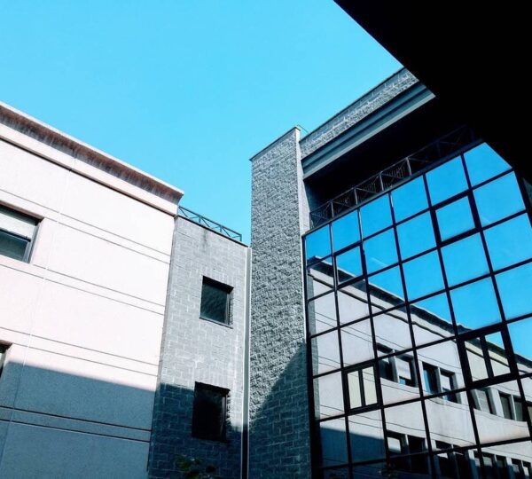 Roma Tor Vergata Üniversitesi