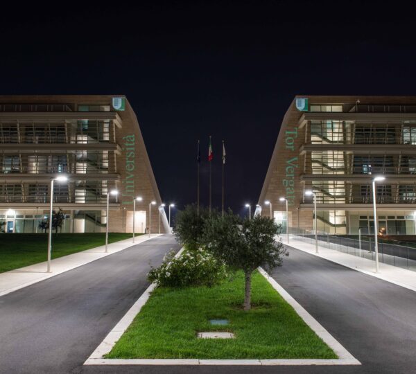 Roma Tor Vergata Üniversitesi