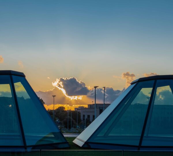 Roma Tor Vergata Üniversitesi