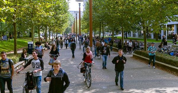 Tilburg Üniversitesi