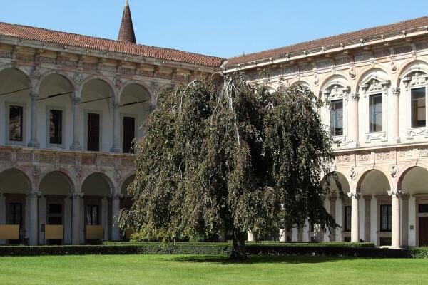 Milano Üniversitesi 1 Milano Üniversitesi